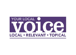 Voice